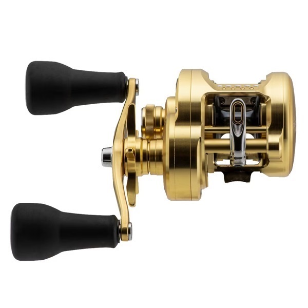 23カルカッタコンクエストMD